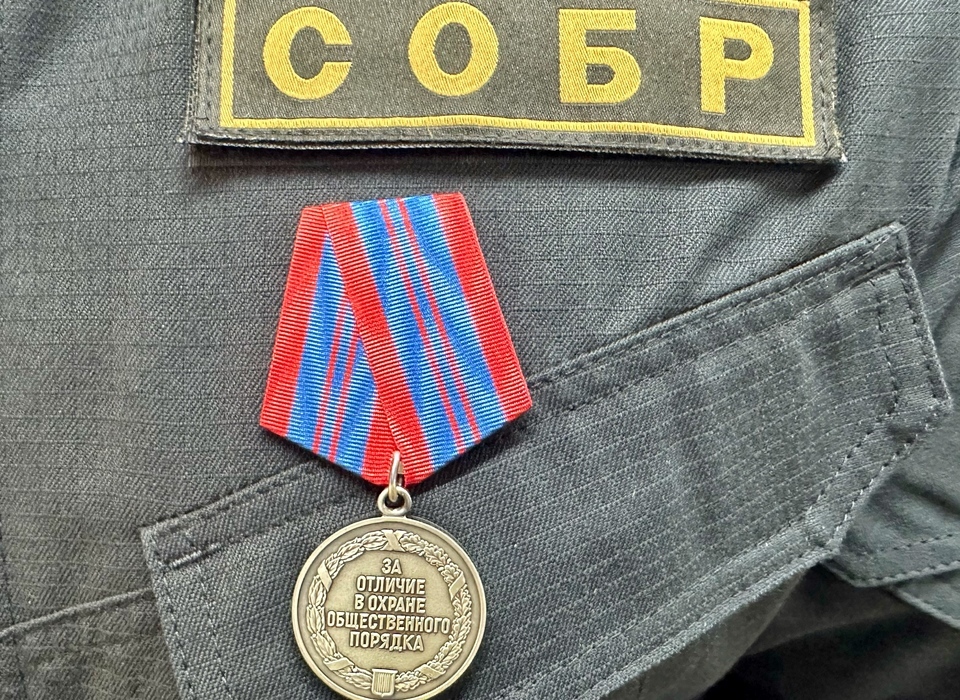 Волгоградским бойцам СОБР «Вектор» вручили государственные награды